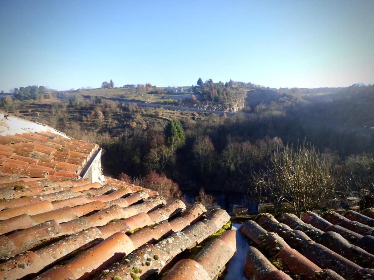 圣文森特冬宫住宿加早餐旅馆 Vieille-Brioude 外观 照片