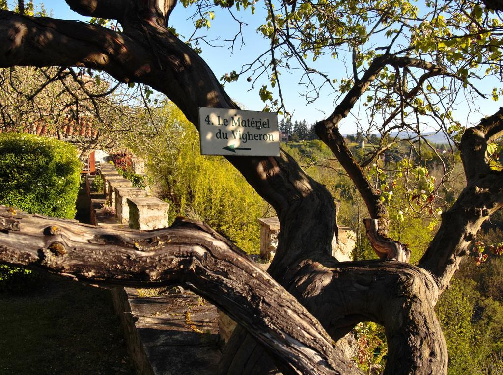 圣文森特冬宫住宿加早餐旅馆 Vieille-Brioude 外观 照片